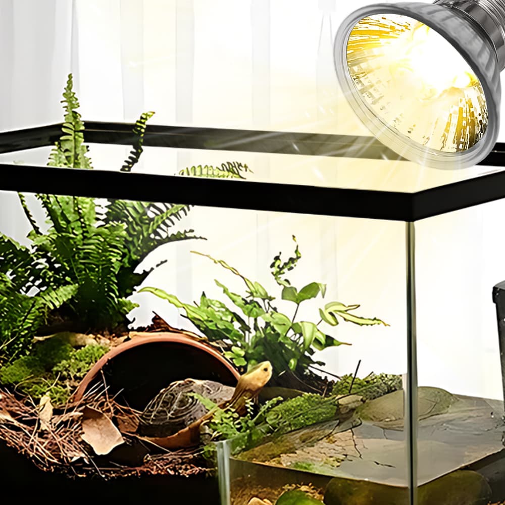 Lampe UVB tortue terrestre