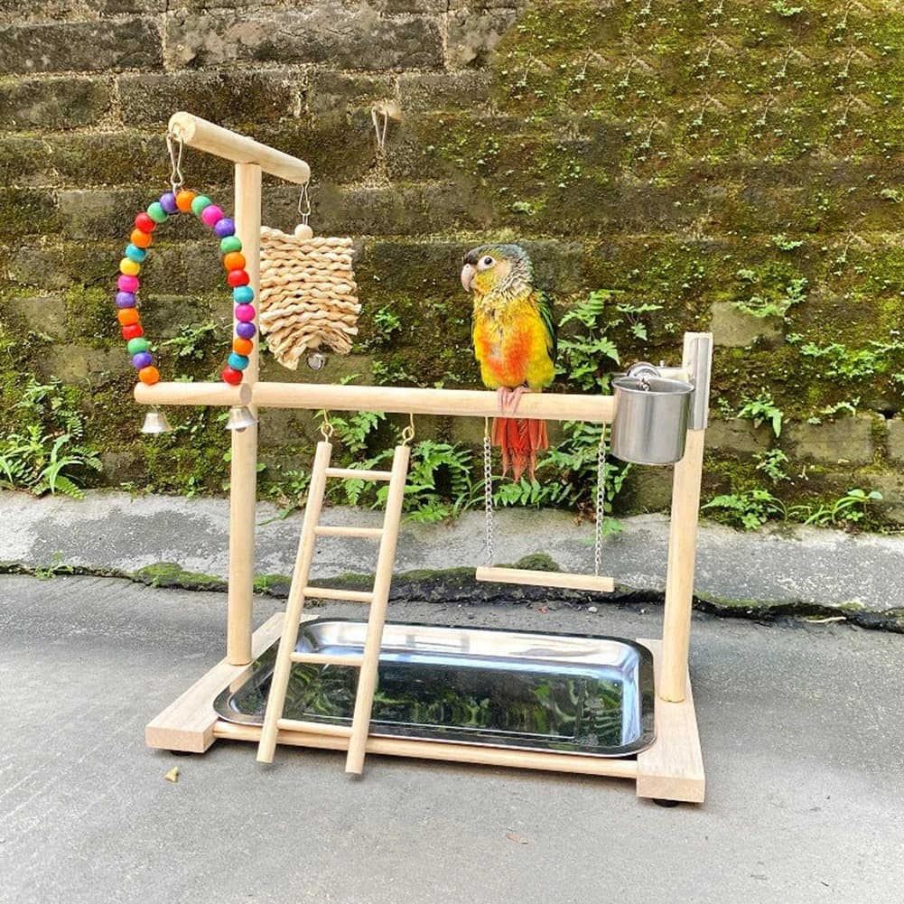 Perchoir interactif perroquet