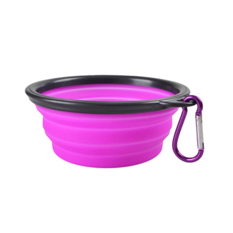 Bol pliable de voyage pour chien