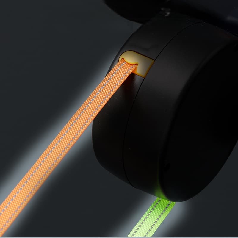 Double laisse LED rechargeable