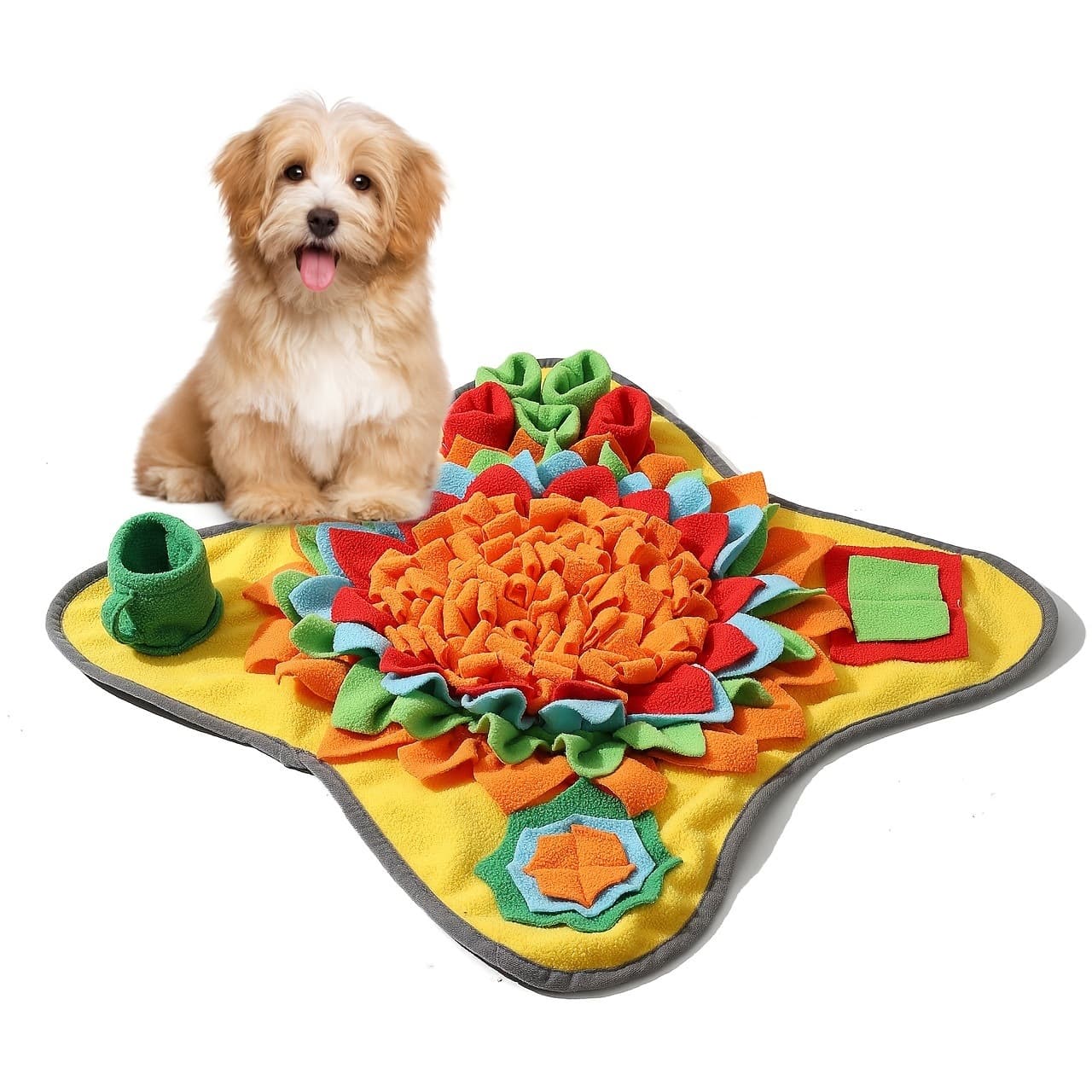 Tapis de fouille interactif
