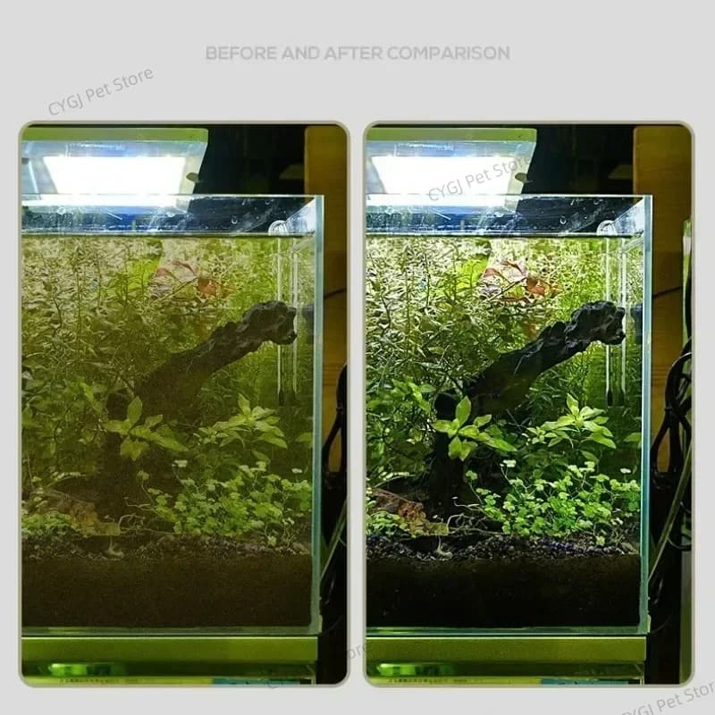 Filtre aquarium silencieux